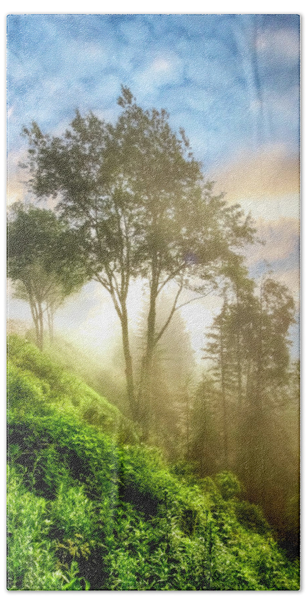 Carolina Bath Towel featuring the photograph Hike up to Mt LeConte Boulevard Trail Smoky Mountains by Debra and Dave Vanderlaan