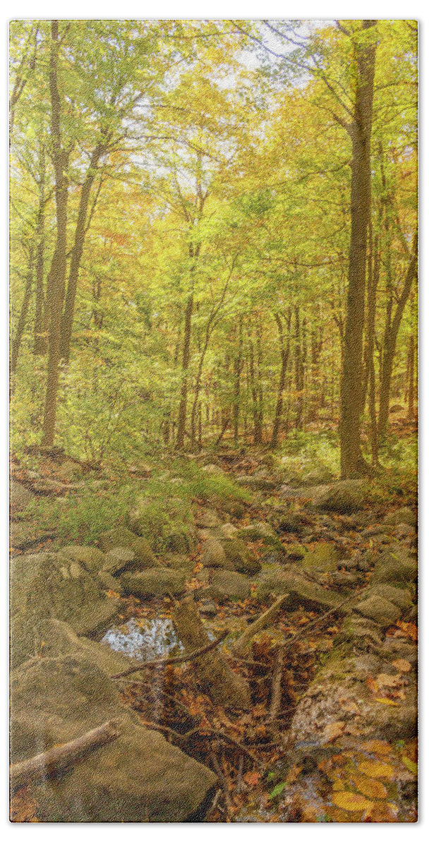 Road Hand Towel featuring the photograph Hiking Through the Enchanted Forest by Auden Johnson