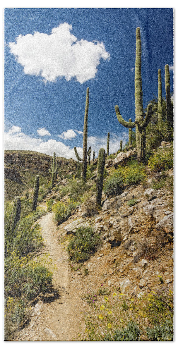 Canyon Hand Towel featuring the photograph Hiking trail through the flowering desert by Craig A Walker