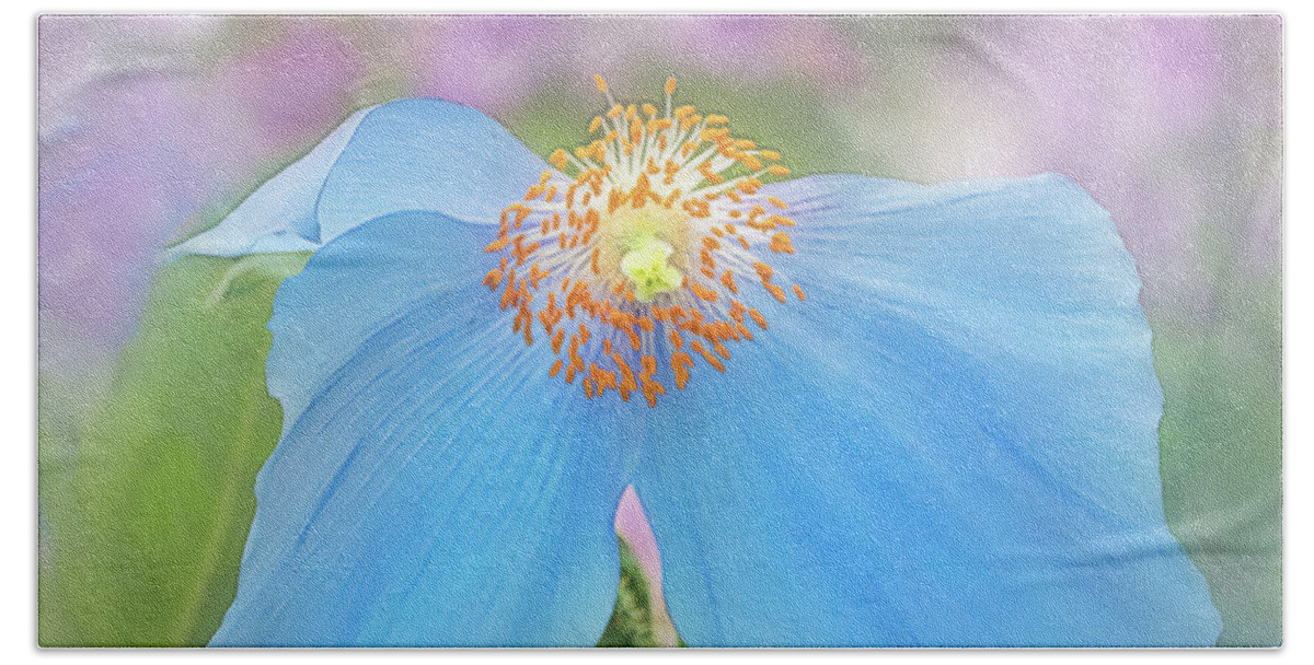 Poppy Bath Towel featuring the photograph Himalayan Blue Poppy - In The Garden by Sylvia Goldkranz