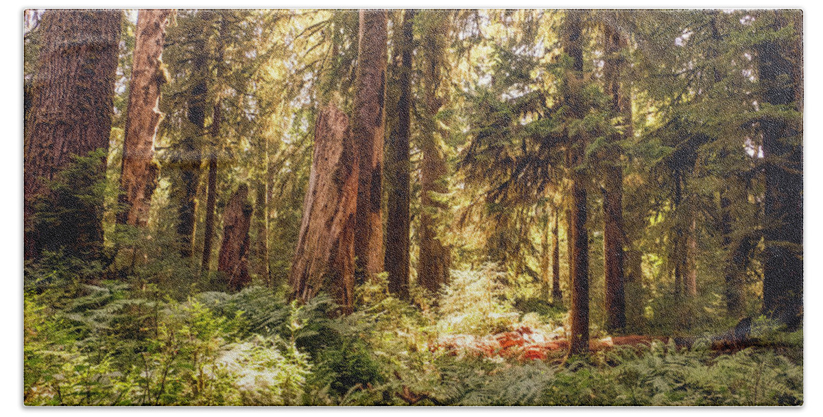 Washington Hand Towel featuring the photograph Hoh Forest #2 by Alberto Zanoni