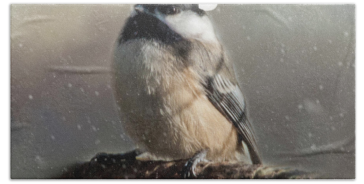 Song Bird Bath Towel featuring the photograph Holiday Chicadee by Cathy Kovarik