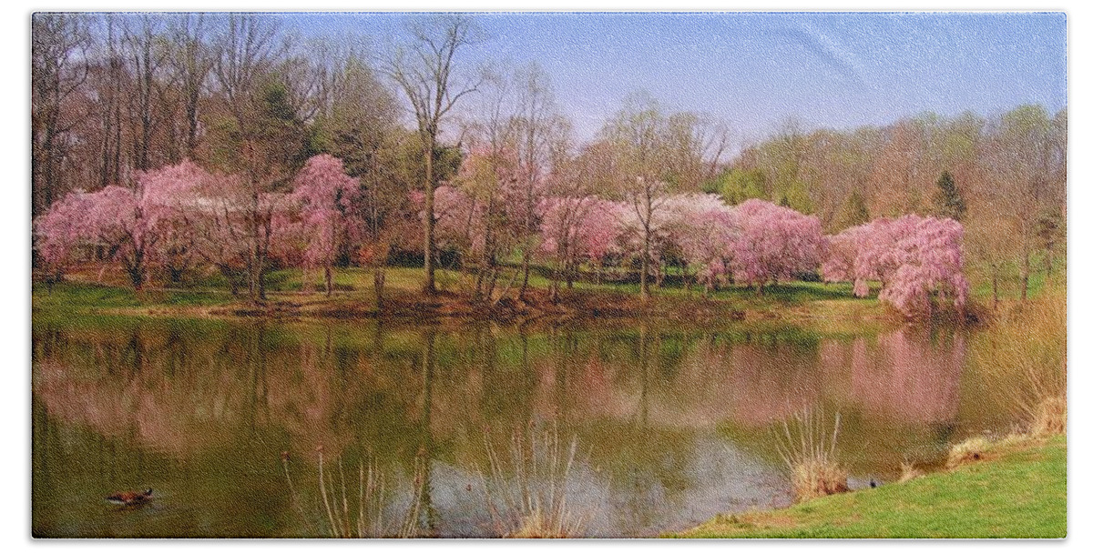 Cherry Blossoms Bath Towel featuring the photograph Holmdel Park In Spring by Angie Tirado