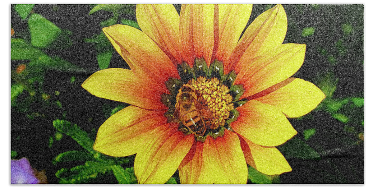 Yellow Hand Towel featuring the photograph Honey Bee in the Middle by Marcus Jones