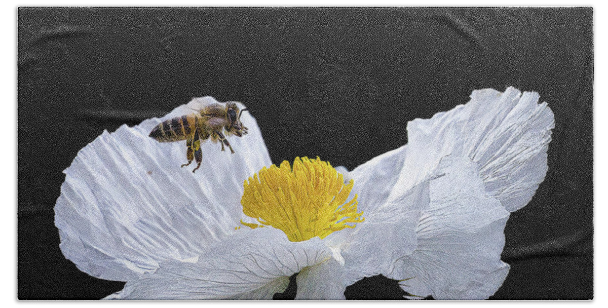 Bee Hand Towel featuring the photograph Honeybee on Prickly Poppy by Cheri Freeman