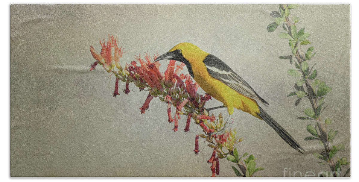 Ocotillo Hand Towel featuring the photograph Hooded Oriole in the Ocotillo by Lisa Manifold