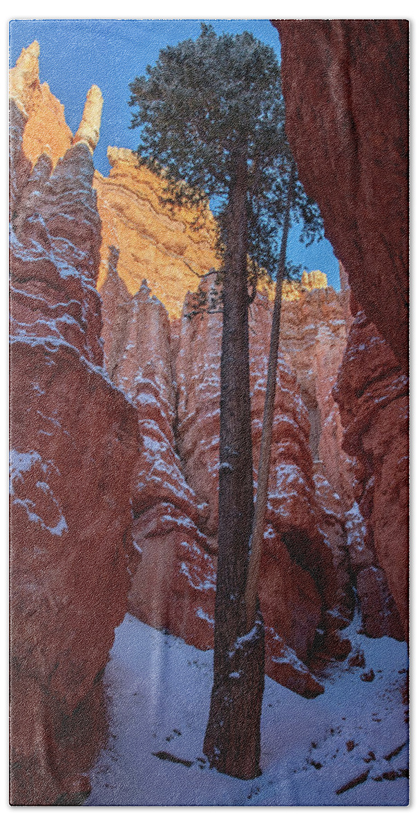 Arches Bath Towel featuring the photograph Hoodoos of Bryce by Edgars Erglis