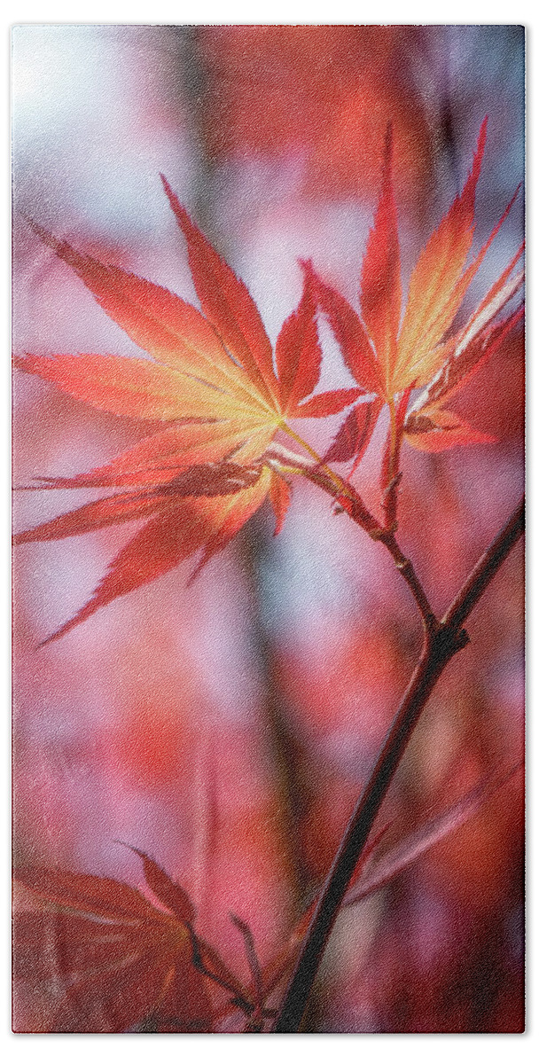 Leaves Hand Towel featuring the photograph Hope is Red by Philippe Sainte-Laudy