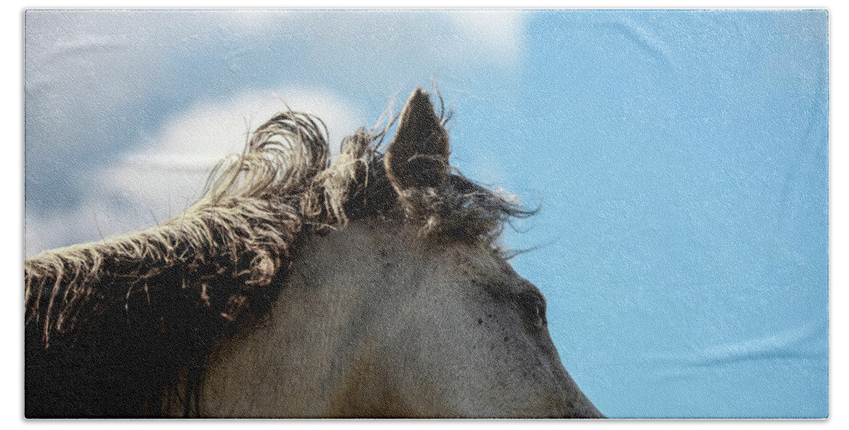 Horse Hand Towel featuring the photograph Horse and Sky by Listen To Your Horse