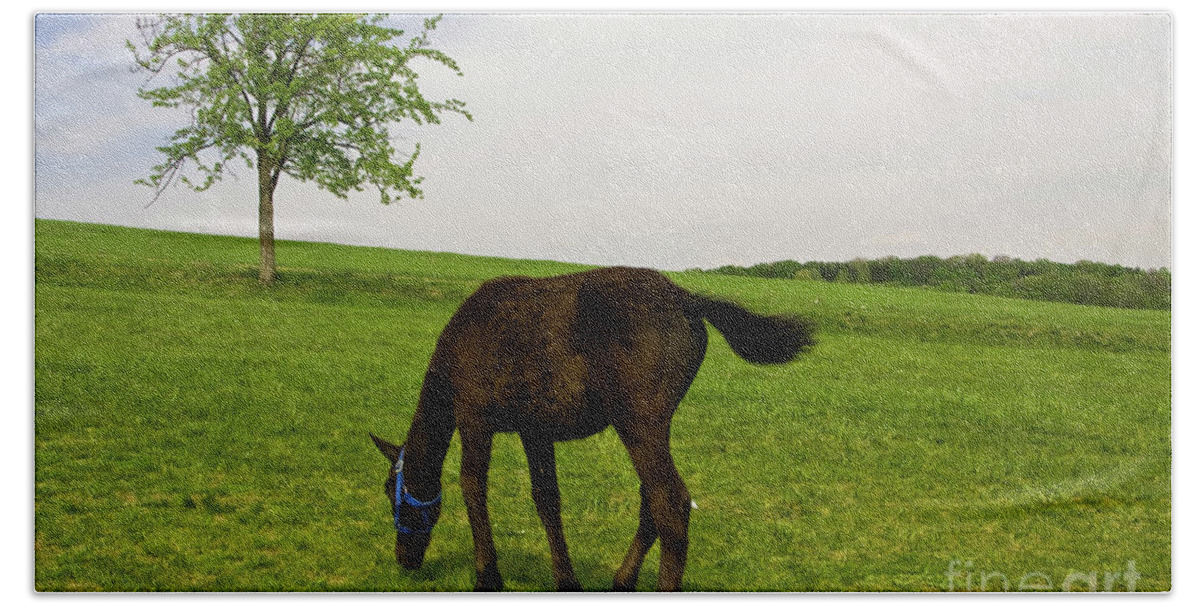 Horse Bath Towel featuring the photograph Horse and tree by Irina Afonskaya