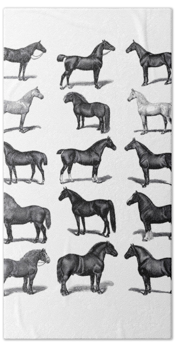 Horse Hand Towel featuring the digital art Horse Chart by Madame Memento