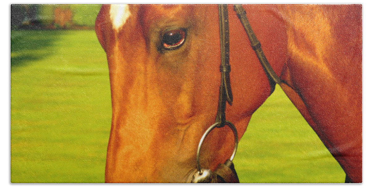 Horse Hand Towel featuring the photograph Horse Close up photograph 1 by Tom Conway