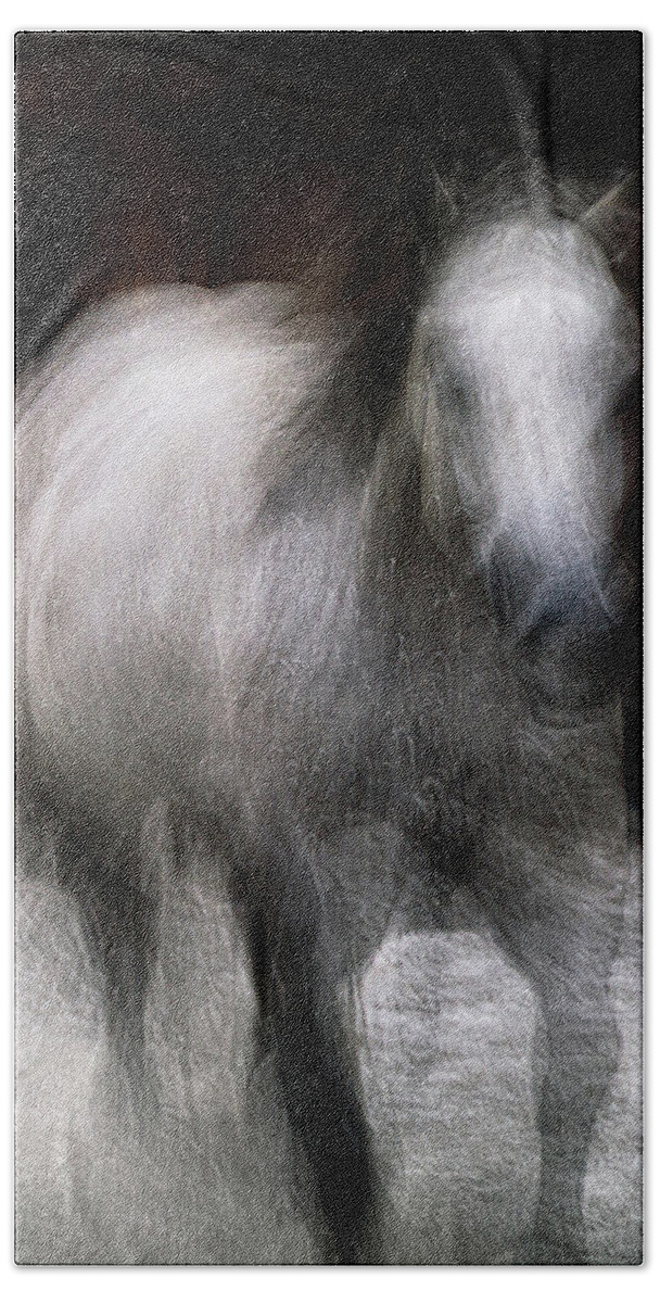 Landscape Bath Towel featuring the photograph Horse by Grant Galbraith