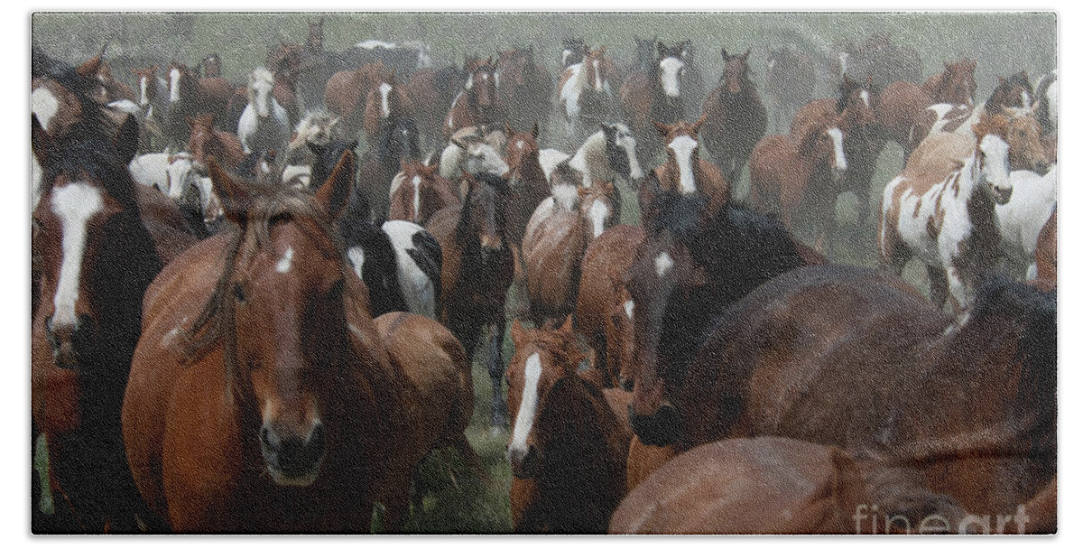 Herd Bath Towel featuring the photograph Horse Herd 2 by Jody Miller