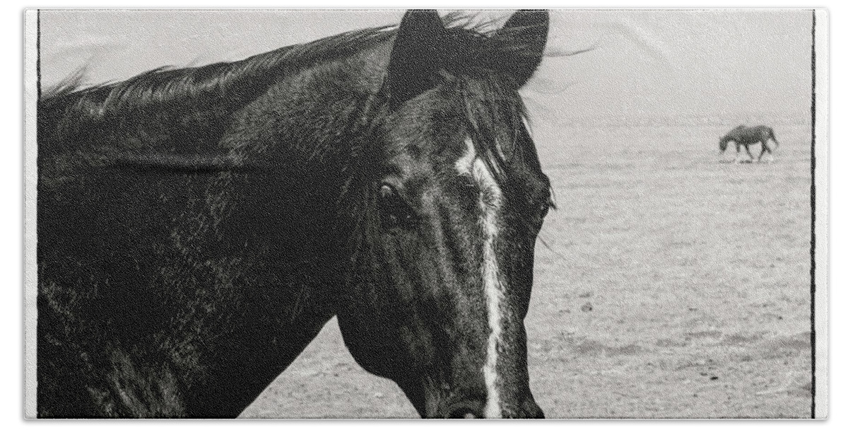 © 2013 Lou Novick Bath Towel featuring the photograph Horse by Lou Novick