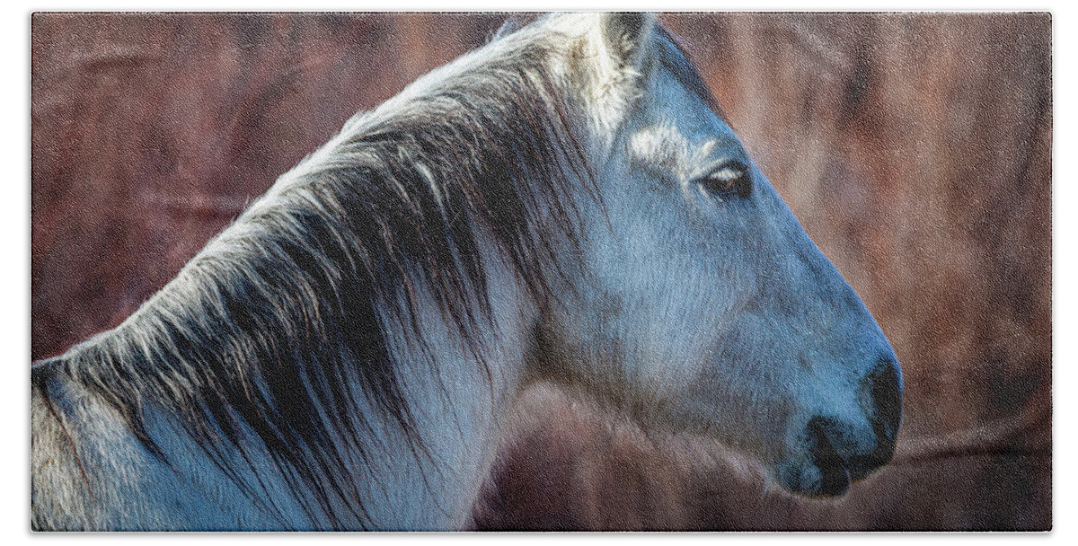 Horse Bath Towel featuring the photograph Horse No. 4 by Craig J Satterlee