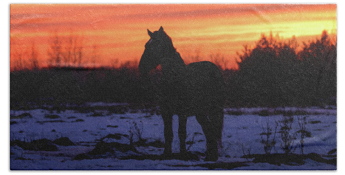 Horse Sunset Bath Towel featuring the photograph Horse Sunset by Brook Burling