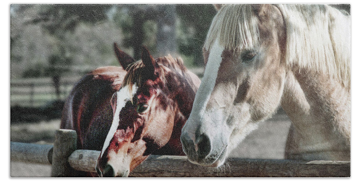 Horses Hand Towel featuring the photograph Horses by Jim Mathis