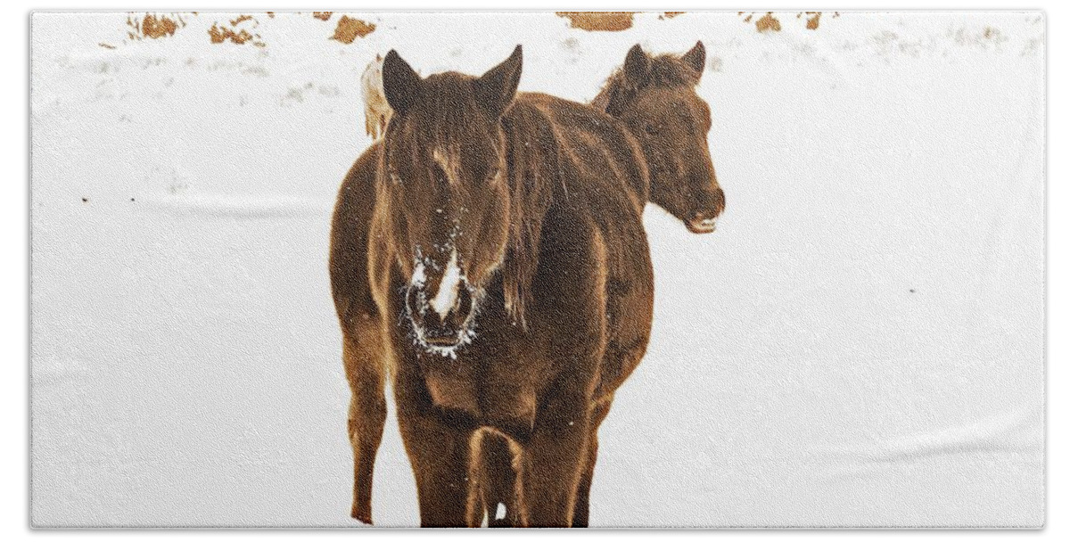 In Focus Hand Towel featuring the digital art Horses Survive The Winter by Fred Loring