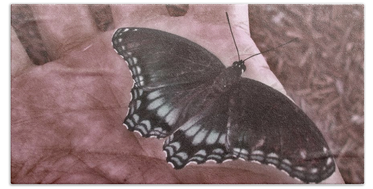 Butterfly Hand Towel featuring the photograph Humans Are Often Friendly by Andy Rhodes