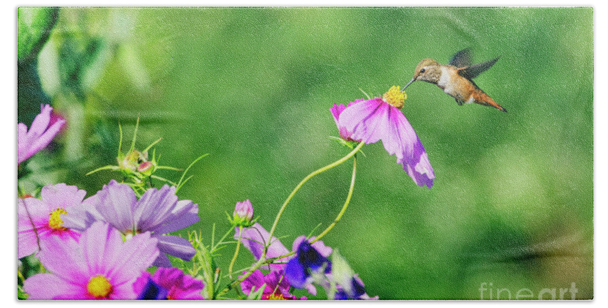 Animal Bath Towel featuring the photograph Hummingbird and Flowers by Kristine Anderson