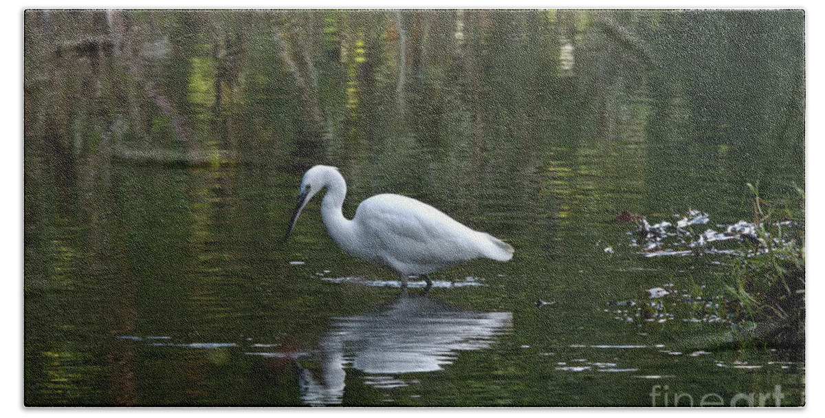 Nature Bath Towel featuring the photograph Hunting Egret by Stephen Melia