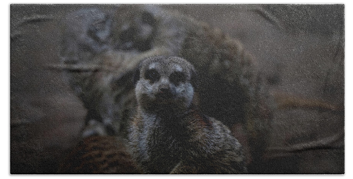 Meerkat Bath Towel featuring the photograph I Am Innocent I Tell Ya by Ernest Echols