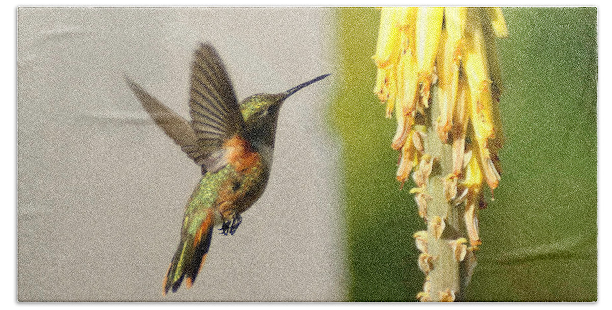 Humming Bird Hand Towel featuring the photograph I Believe I can Fly by Montez Kerr