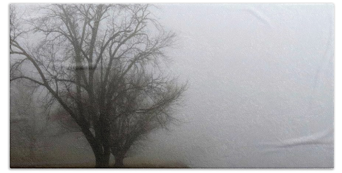 Fog Bath Towel featuring the photograph Ice and Fog on the Delaware River by Linda Stern
