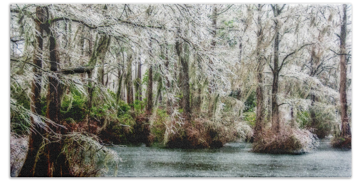 Ice Storm Bath Towel featuring the photograph Ice Storm in The Swamp by WAZgriffin Digital