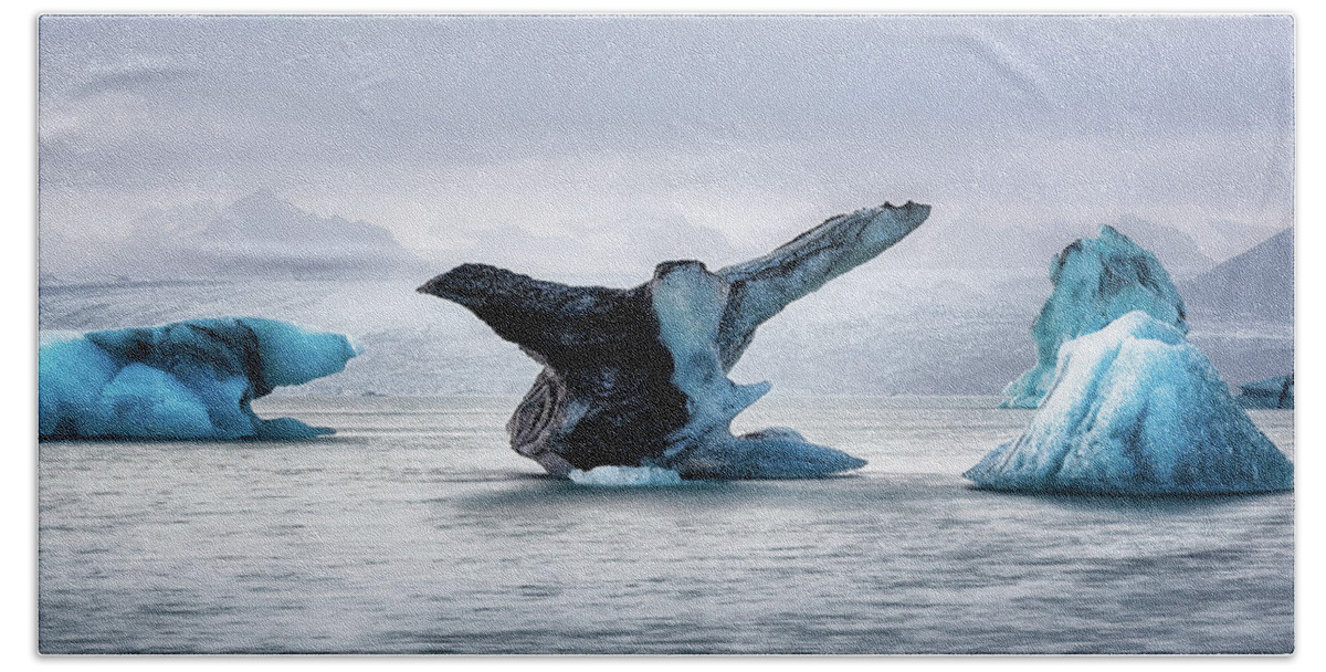 Breiðamerkurjökull Bath Towel featuring the photograph Icebird by Dee Potter