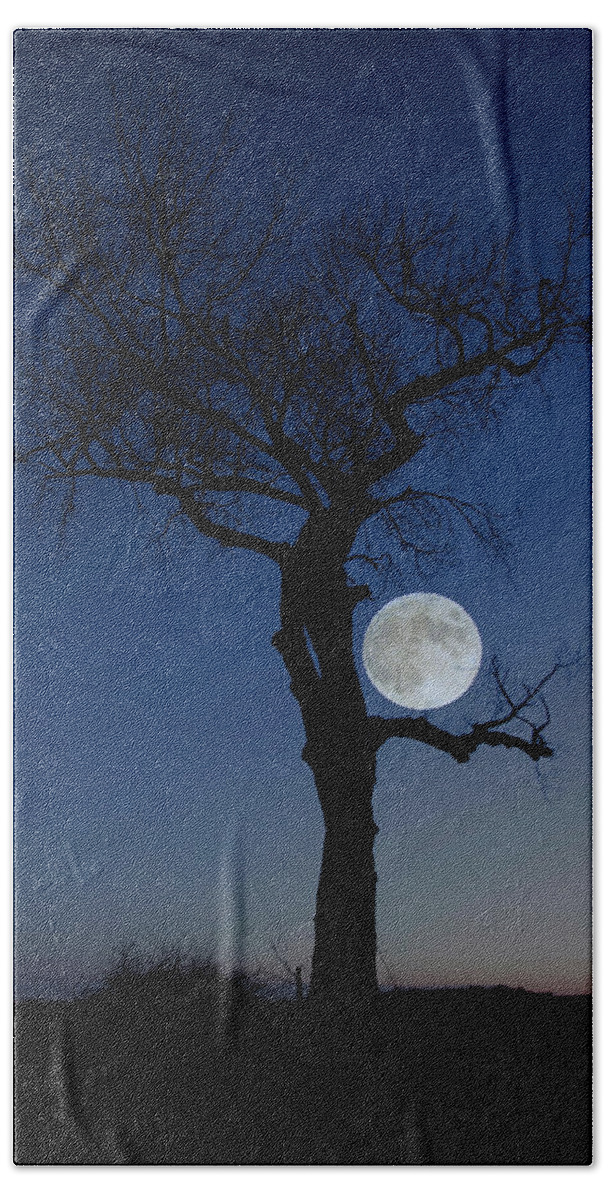 Frost Moon Hand Towel featuring the photograph Idiosyncrasy by Aaron J Groen