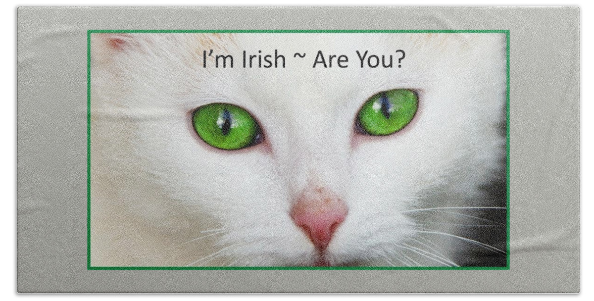 Cat Hand Towel featuring the photograph I'm Irish Are You by Nancy Ayanna Wyatt