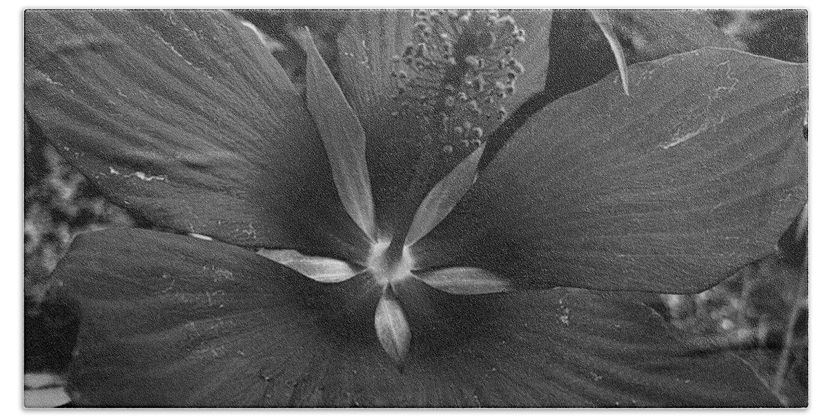 Flower Bath Towel featuring the photograph Imperfectly Perfect Macro BW by Lee Darnell