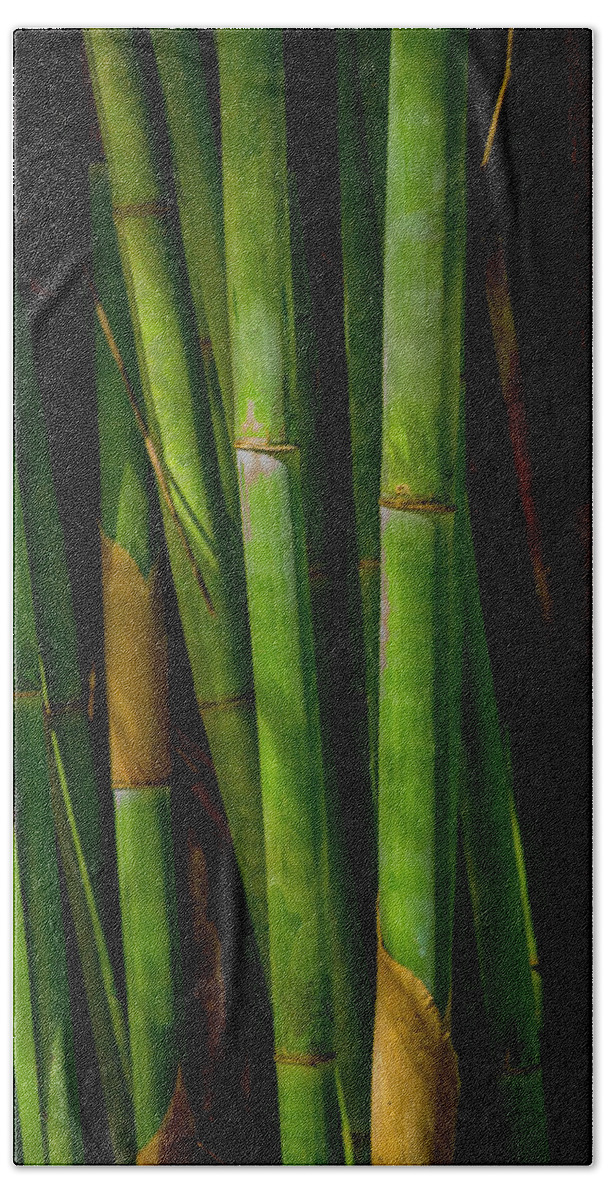 Garden Bath Towel featuring the photograph In a Bamboo Forest - 2 by W Chris Fooshee