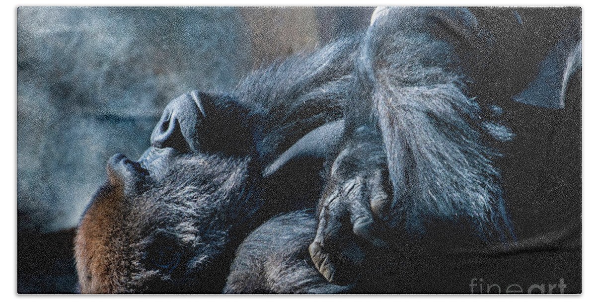 Animals Hand Towel featuring the photograph In Deep Thought by David Levin