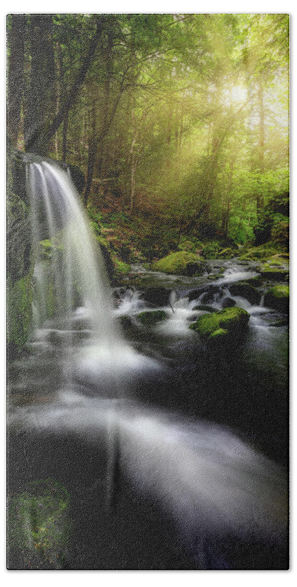 Appalachian Trail Hand Towel featuring the photograph In the Light Sages Ravine by Bill Wakeley