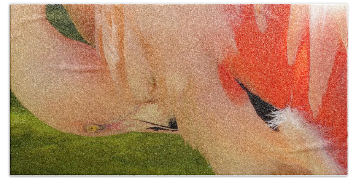 Pink Bath Towel featuring the photograph In the Pink by Vicky Edgerly