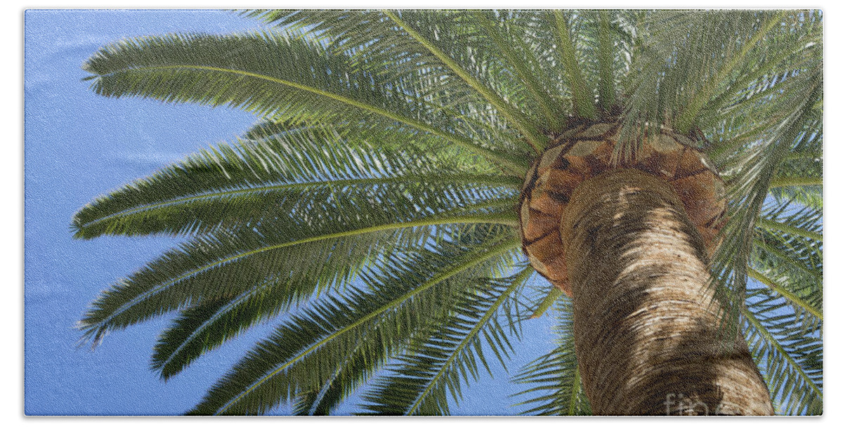 Palm Leaves Bath Towel featuring the photograph In the shade of a tall palm tree, summer on the beach by Adriana Mueller