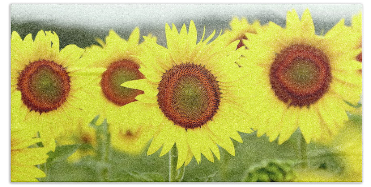 Sunflower Bath Towel featuring the photograph In Your Face by Lens Art Photography By Larry Trager