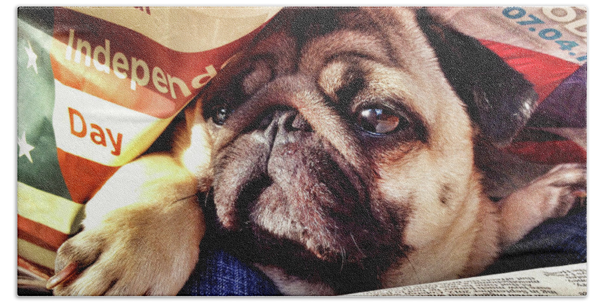 Pug Hand Towel featuring the photograph Independence Day by Robert Dann