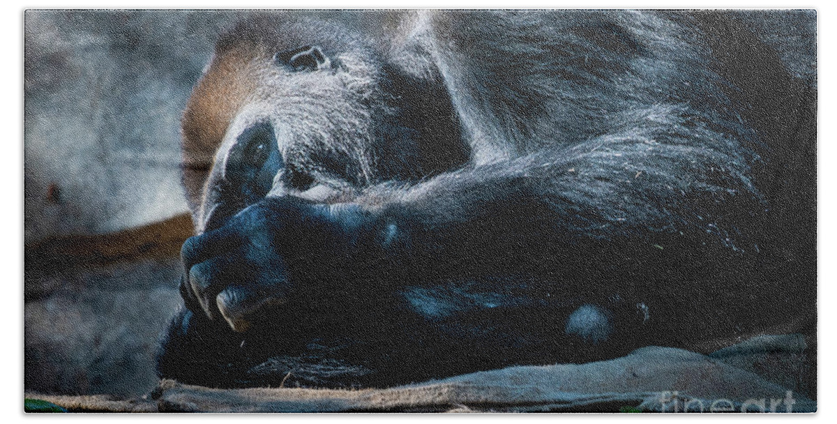 Animals Bath Towel featuring the photograph Insomnia by David Levin