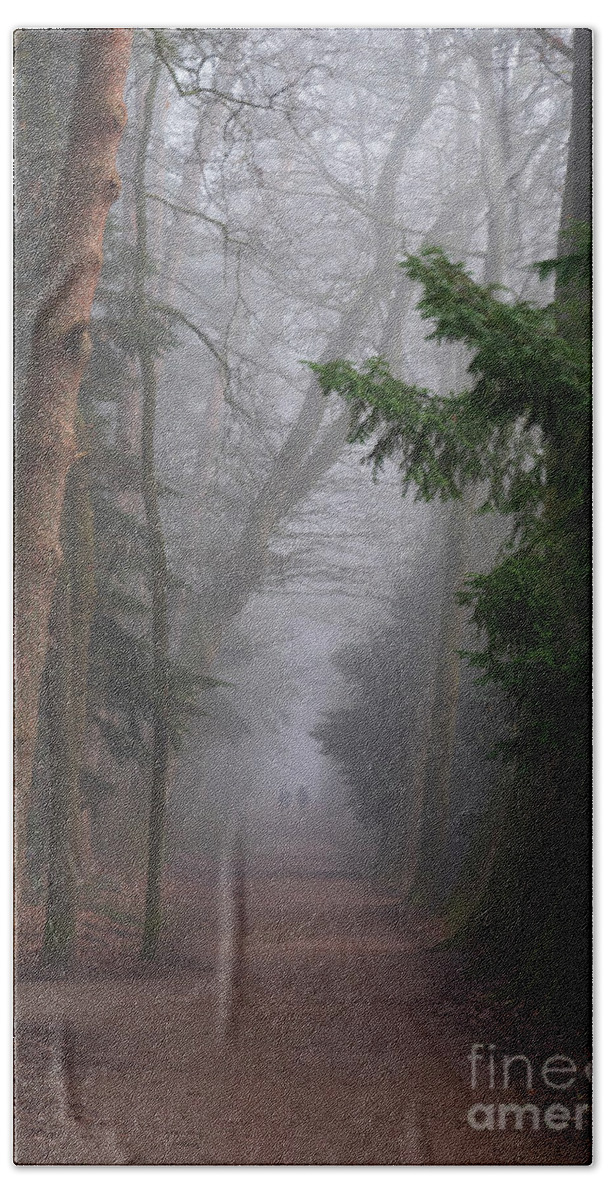 Misty Bath Towel featuring the photograph Into the Fog by Daniel M Walsh