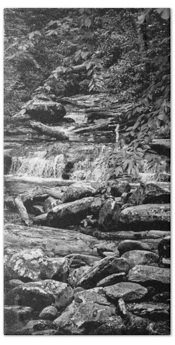 Appalachia Bath Towel featuring the photograph Into the Forest BW by Christi Kraft