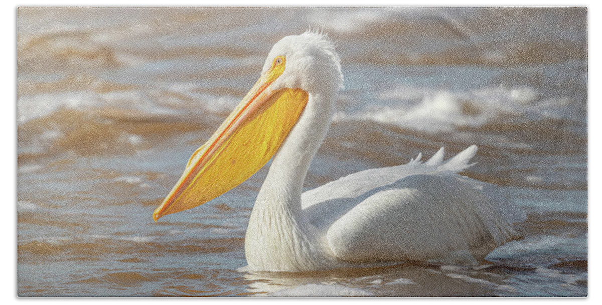 Pelican Hand Towel featuring the photograph Into The Light by Jordan Hill