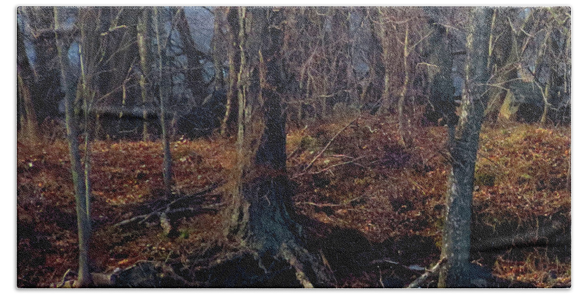 Woods Bath Towel featuring the photograph Into the Woods at Amico Island by Linda Stern