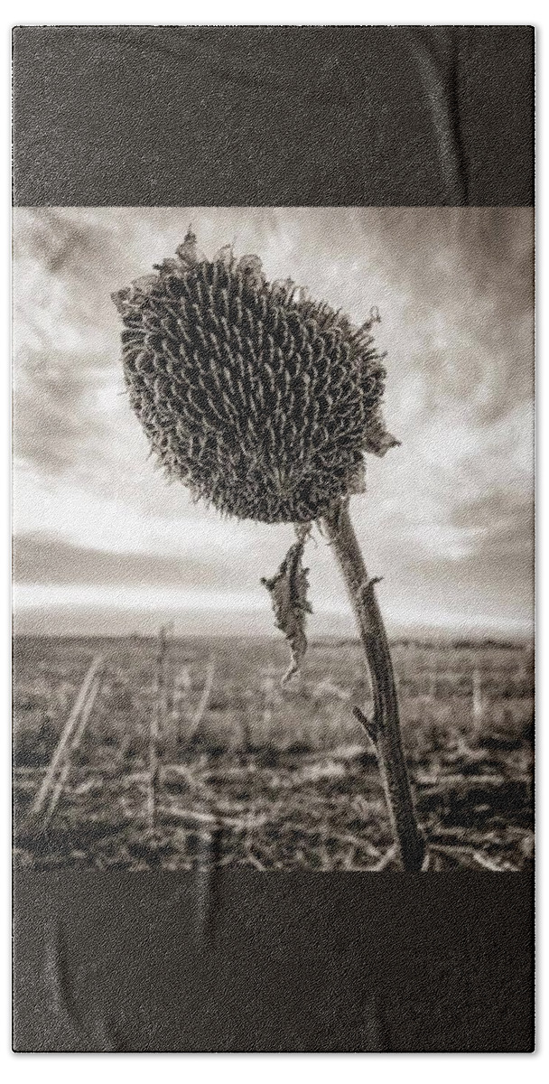 Iphonography Hand Towel featuring the photograph iPhonography Sunflower 2 by Julie Powell