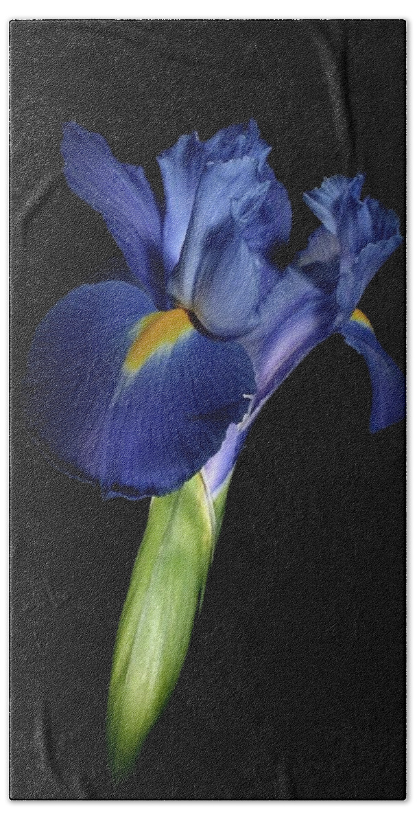Macro Hand Towel featuring the photograph Iris 041807 by Julie Powell