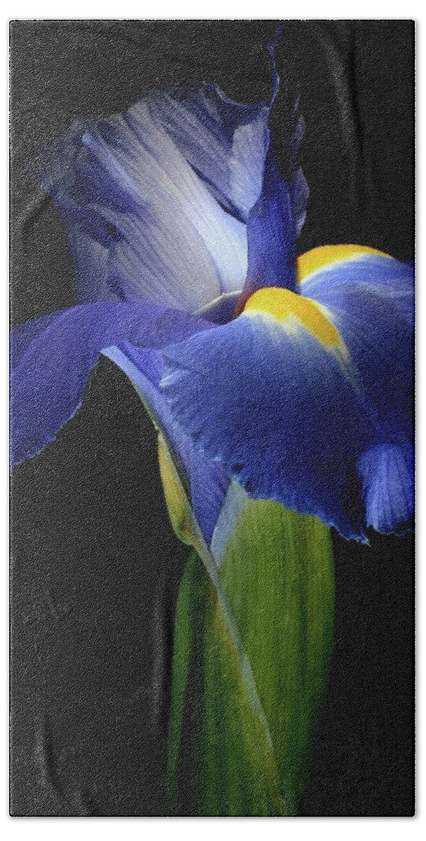 Macro Hand Towel featuring the photograph Iris 041907 by Julie Powell