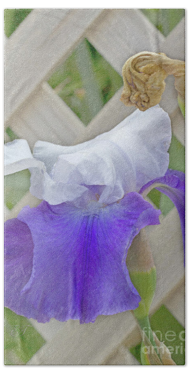 Iris Bath Towel featuring the photograph Iris 3 by Elaine Teague